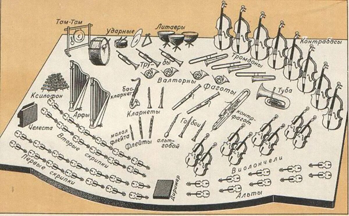 Схема рассадки инструментов в симфоническом оркестре. Американская рассадка симфонического оркестра схема. Строение симфонического оркестра схема. Схема рассадки музыкантов в симфоническом оркестре. Сколько музыкальных инструментов в оркестре