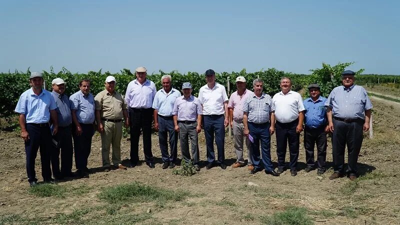 Погода село падар дербентский. Карадаглы Дербентский район. Деличобан Дербентский район. Село Карадаглы Дербентский район. Село Берикей Дербентский район.