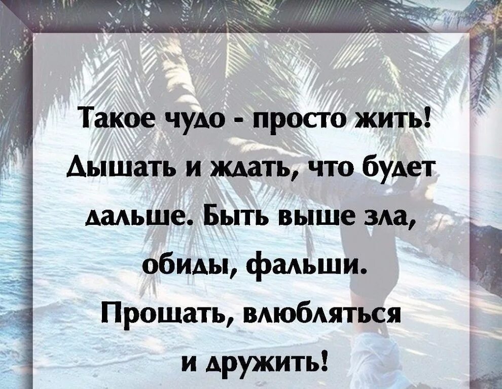 Как дальше жить в россии простому. Цитаты про чудо. Высказывания о чудесах. Афоризмы про чудеса. Афоризмы про чудеса в жизни.