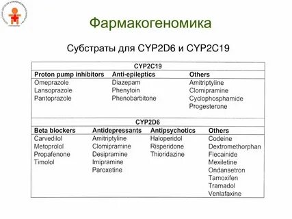 06 что это