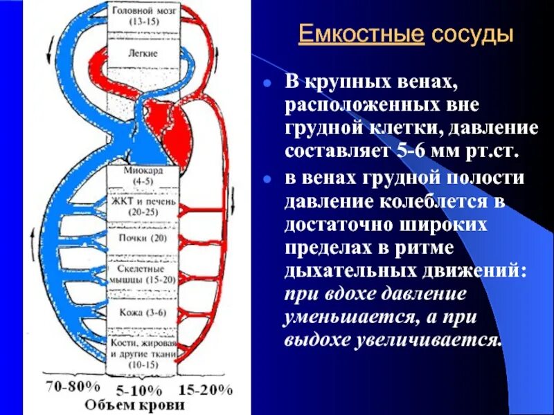 При вдохе давление в легких падает. Давление крови в венах составляет. Давление в грудной полости.