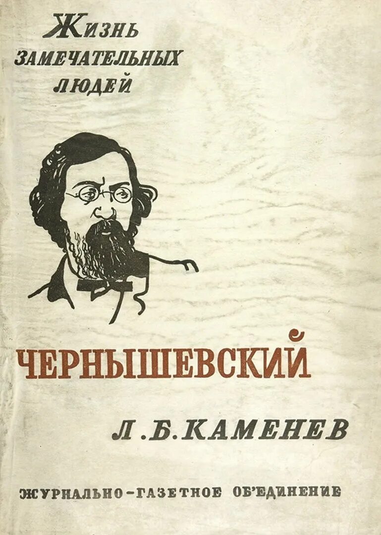 Читать книгу каменева