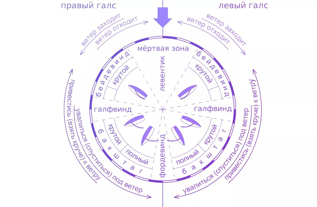 Левентик бейдевинд галфвинд Бакштаг Фордевинд. Курс парусного судна относительно ветра. Направление ветра относительно яхты. Направление курсов парусного судна.