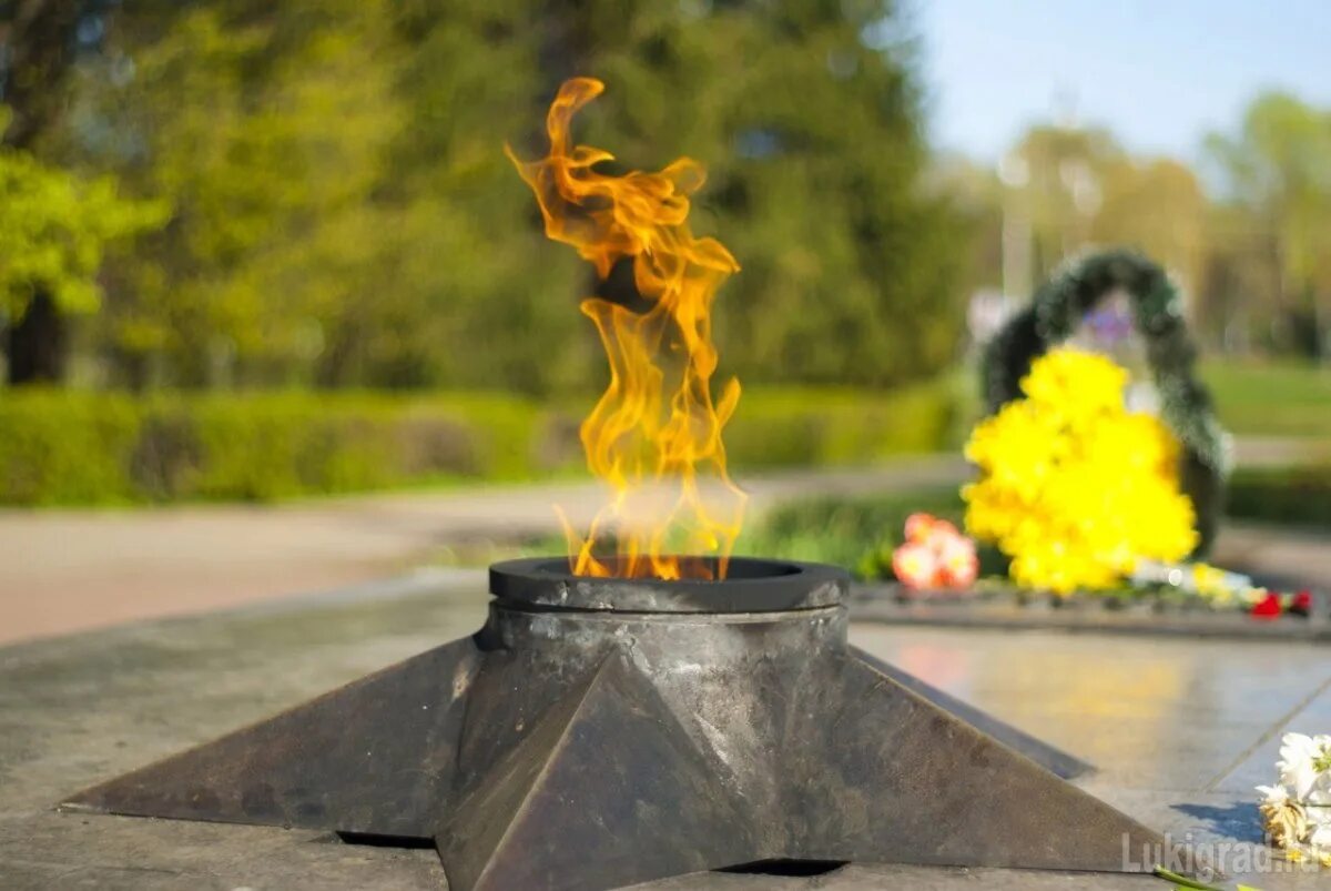 изображение вечного огня. фон вечный огонь. вечный огонь мурманск. вечный огонь минута молчания. красивый вечный огонь.