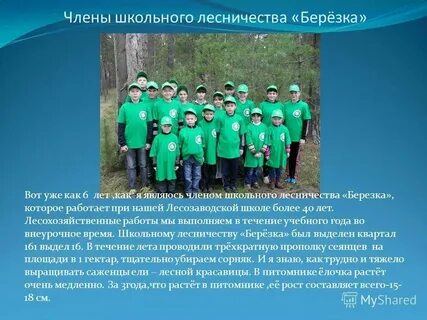 Лесничества являются