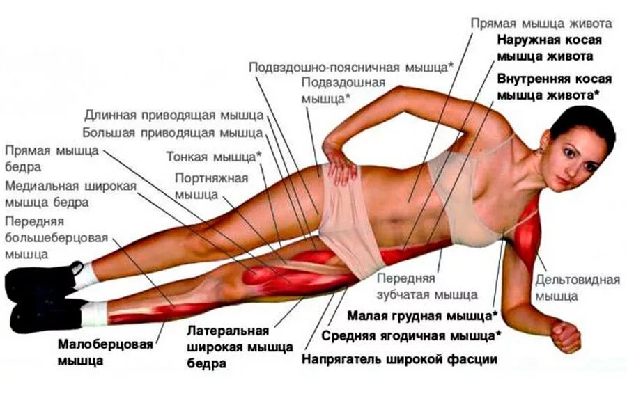 Можно греть мышцы. Боковая планка группа мышц. Планка упражнение мышцы задействованные. Планка для похудения с мышцами. Планка боковая упражнение.