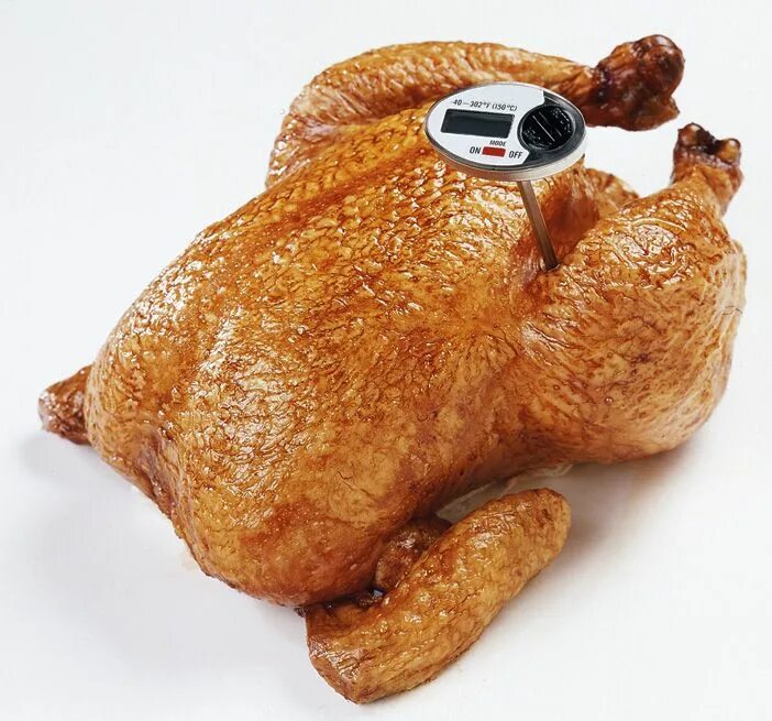 Вспен вшийся курица кудахч т. Курица с градусником. Курица с термощупом. Курица с термометром. Курица в духовке с термощупом.