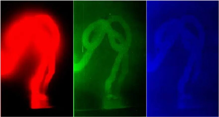 Фантом днк. Фантом днк фото. фантом днк ложь. dna waves.