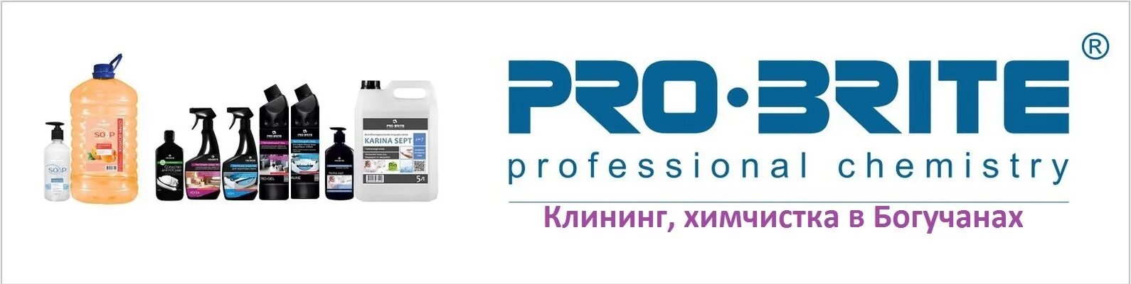 Сайт про брайт. Брайт логотип. Pro Brite logo. Профессиональная химия Пробрайт. Завод профессиональной химии Pro Brite.