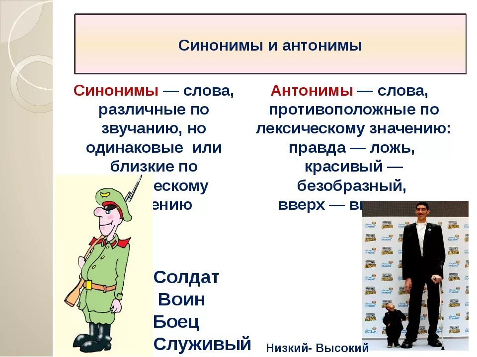 Заменить слово солдаты. Слова синонимы. Слова синонимы и антонимы. Правило синонимы и антонимы. Правда синоним.