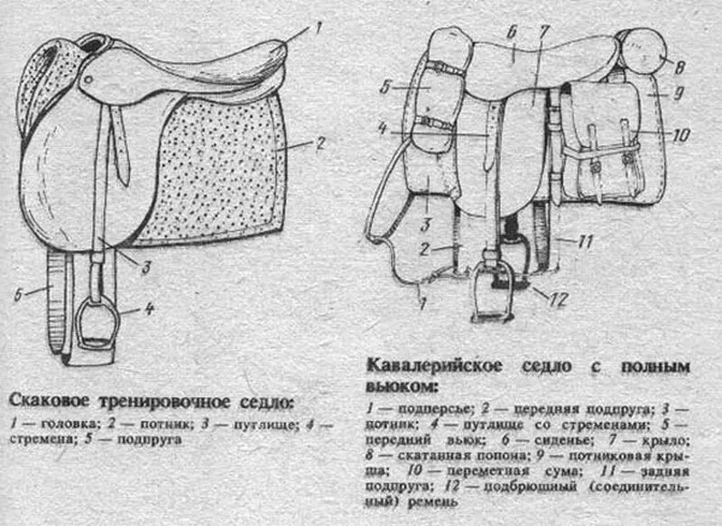 Строение седла и уздечки для лошади. Строевое седло для лошади схема. Чертежи кавалерийского седла. Ленчик для седла схема. Изгиб седла 4