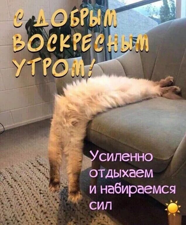 Воскресным утром цитаты. Воскресным утром цитаты