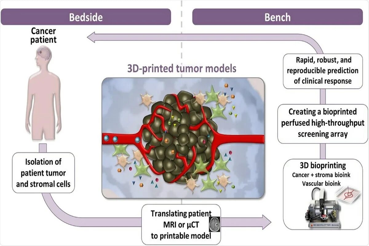 Т клеточная опухоль микро. Tumor перевод на русский. Tumor перевод на русский. Tumor перевод на русский. Т клеточная опухоль микро.