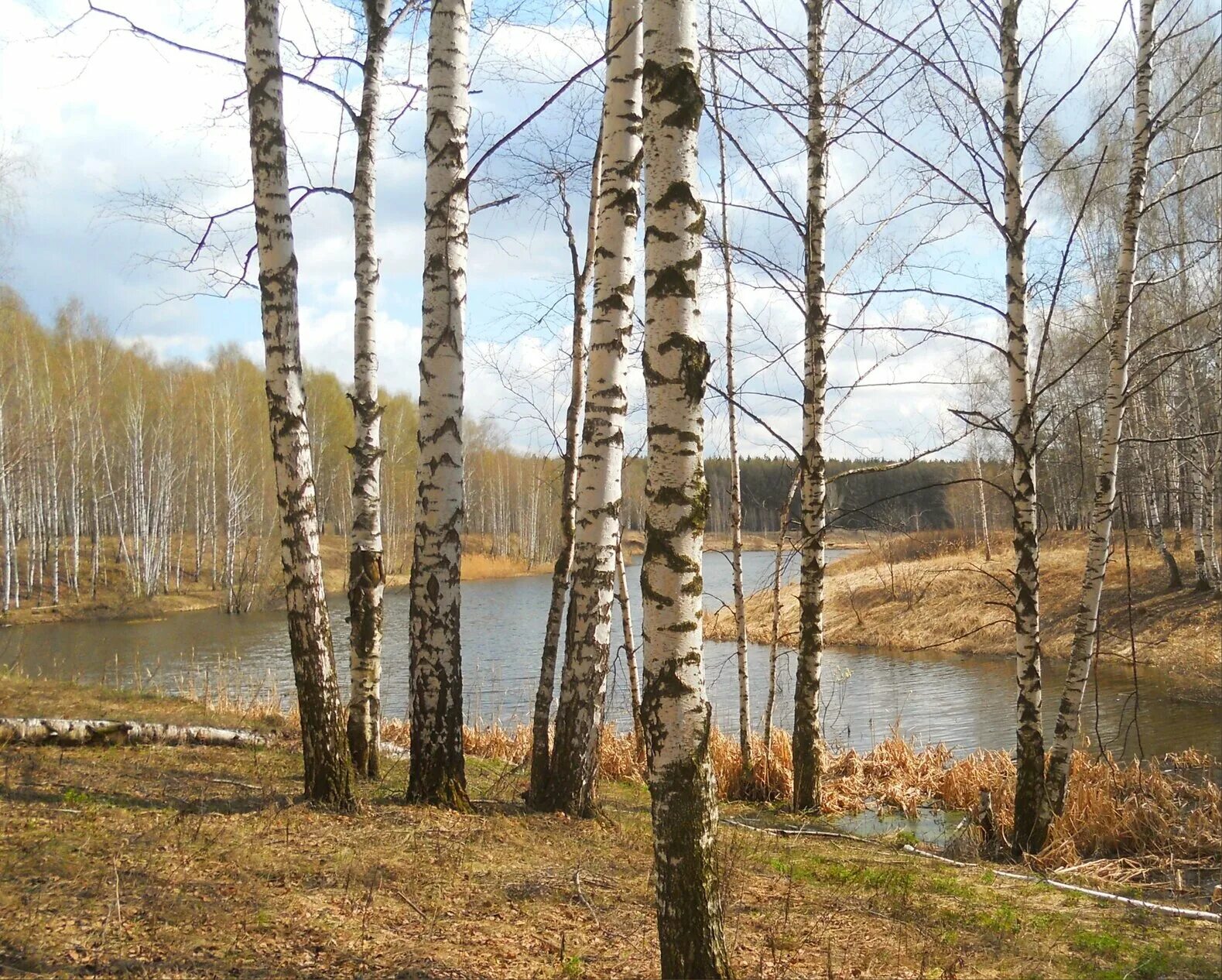 Апрель рязань купить. Рязань в апреле. Рязань в апреле фото. Россия красота экологпи. Фото города Рязани апрель месяц.