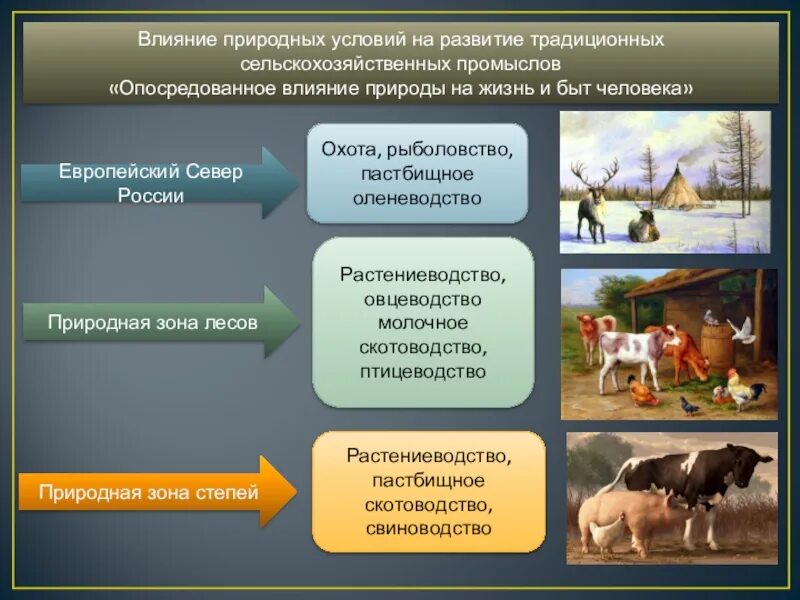 Условия развития промыслов. Влияние природных условий. Хозяйство европейского севера России. Сельское и природное хозяйство. Влияние природных условий на развитие.