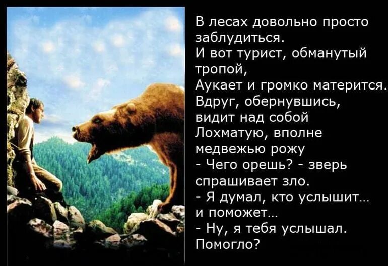 В лесах довольно просто заблудиться. Заблудиться цитаты. Шутки про заблудившихся. Заблудился в лесу прикол.