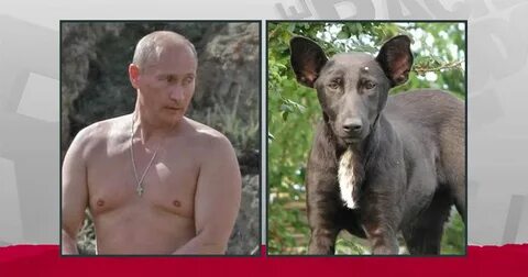 Человек с лицом собаки