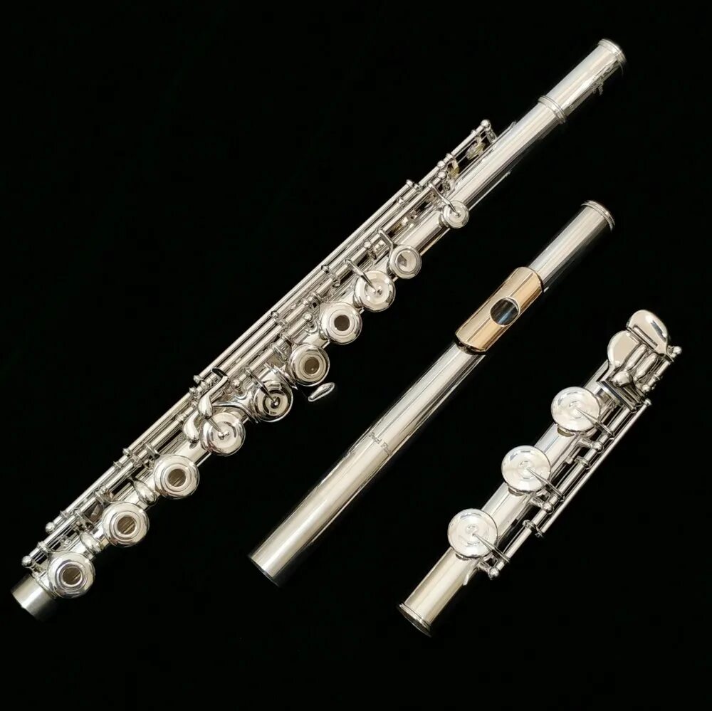 Flute. Кванц флейта. Серебряная флейта. Флейта деревянная поперечная с клапанами. Artist Flutes af 200rbo флейта.