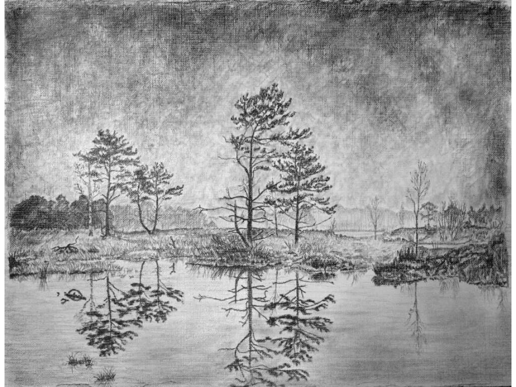 картин карандашом природы. картин карандашом природы. пейзажи для рисования. графический пейзаж. рисование пейзажа карандашом.