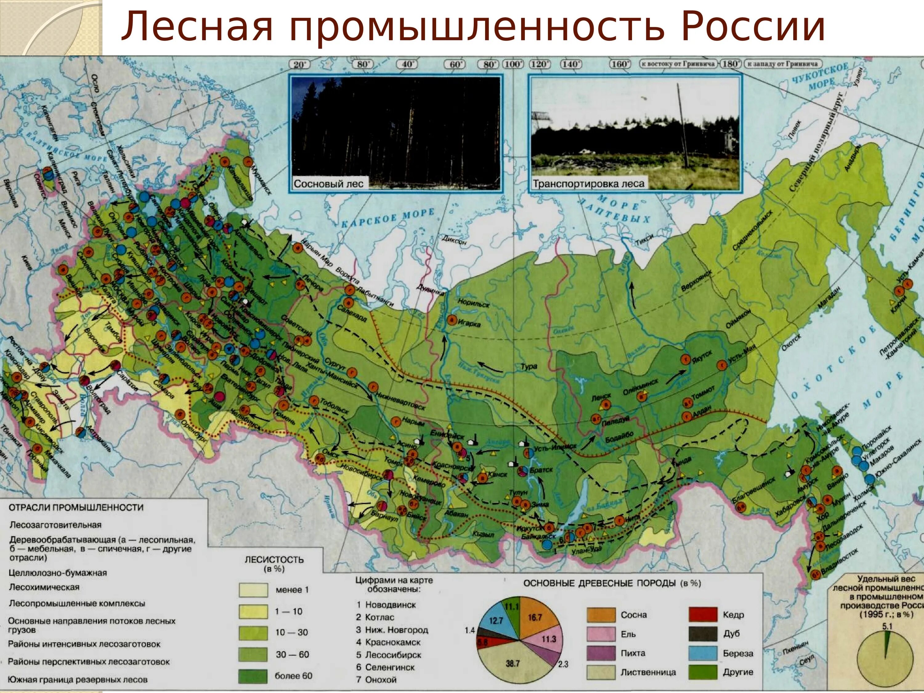 Районы деревообработки. Центры в России лесохимической Лесной промышленности. Карта Лесной промышленности России. Карта Лесной промышленности России 9 класс. Районы и центры Лесной промышленности таблица.