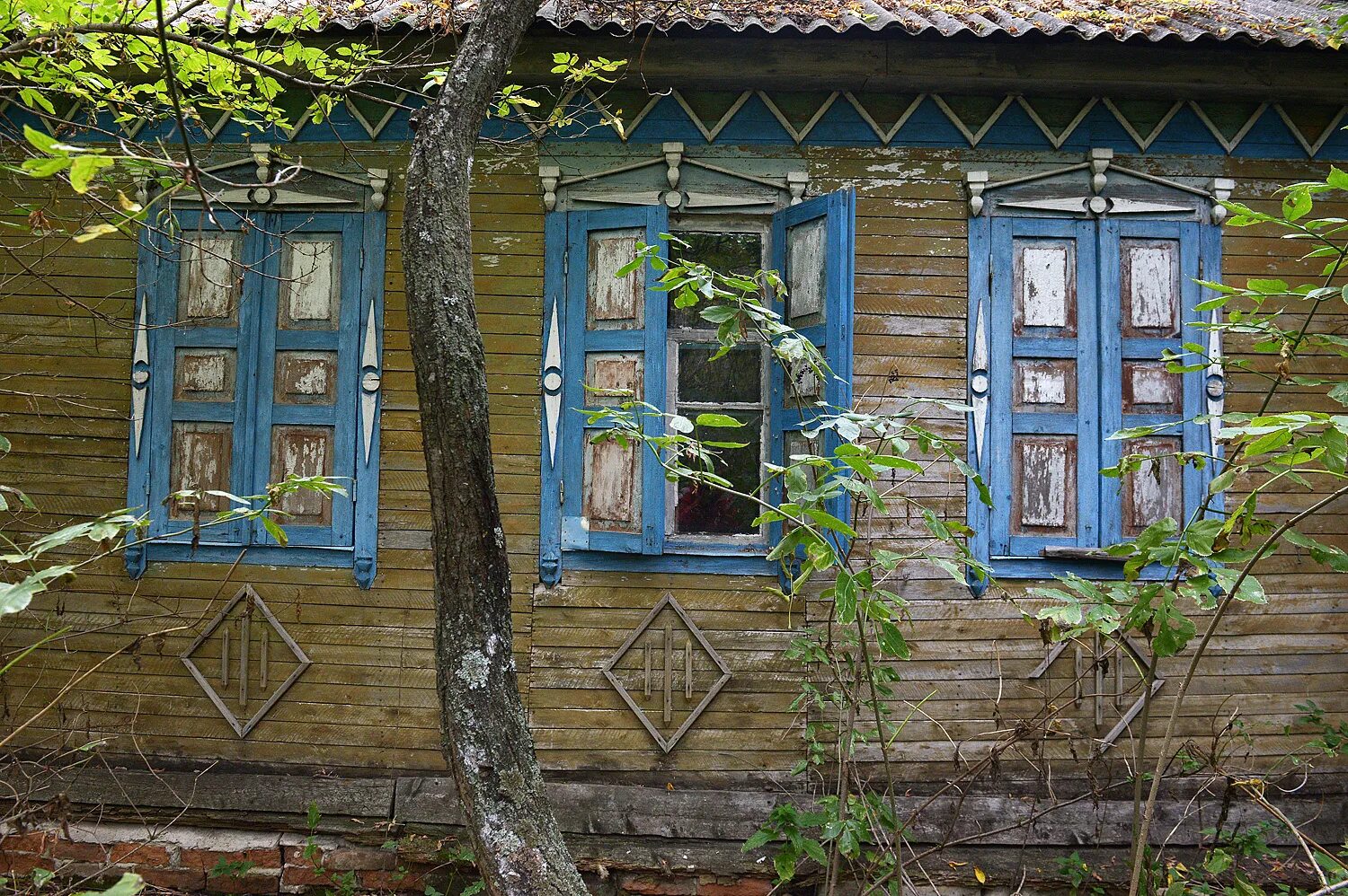 Village воронеж. Заброшенные воронежские деревни. Заброшенные села Воронежской области. Заброшеные деревни Воронежской области. Заброшенные деревни Воронежской области.