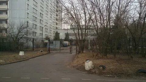 Пульмонология ореховый