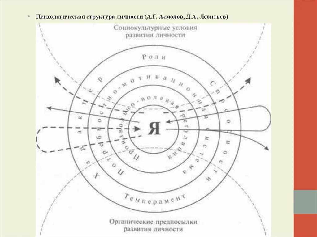 Психологическая структура личности. Структура личности в теории д.а. леонтьева. леонтьев психолог структура личности. структура личности леонтьева схема. структура личности в психологии по леонтьеву.