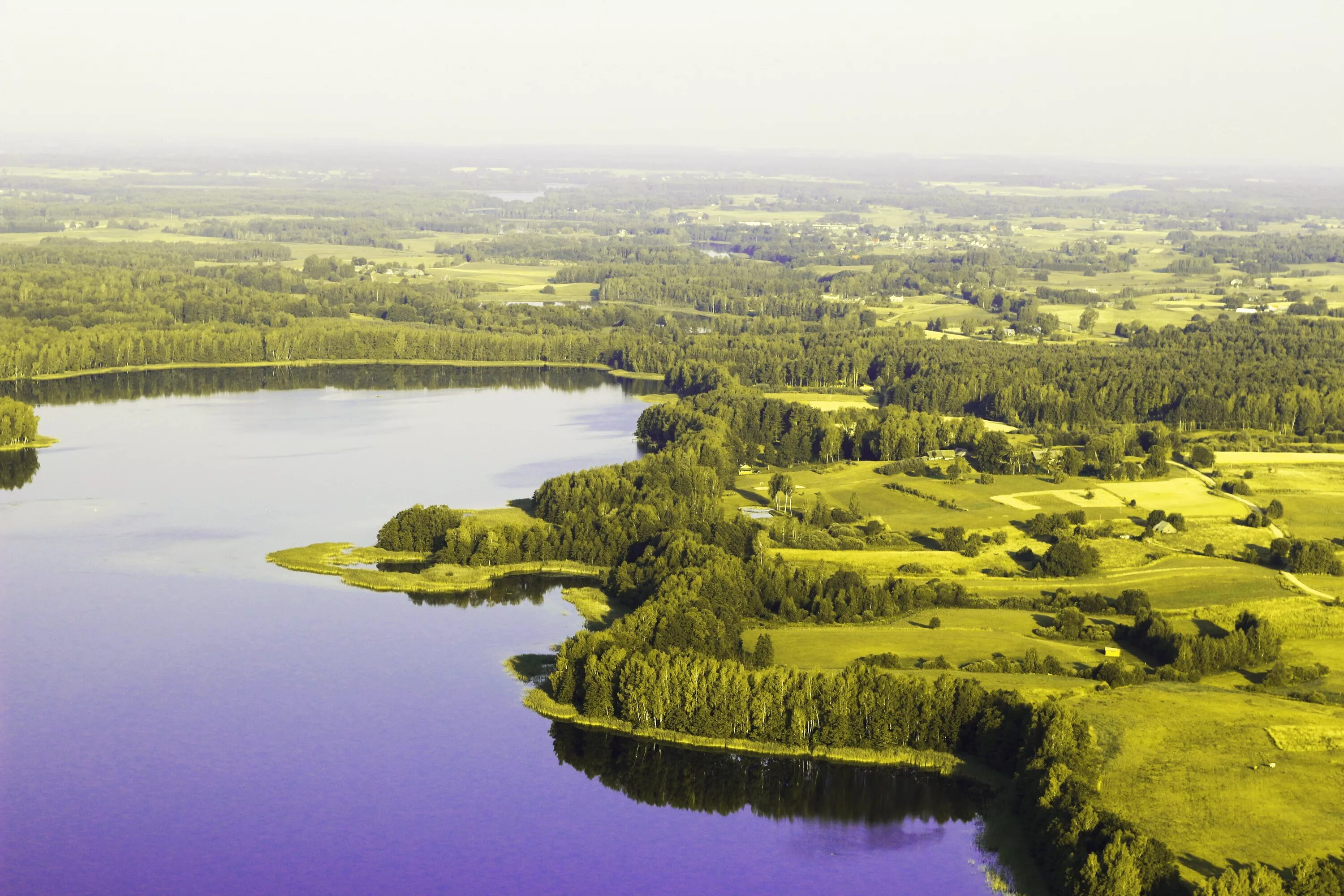 Ландшафт Литвы. Леса Литвы. Литва пейзажи. Озера Литвы.