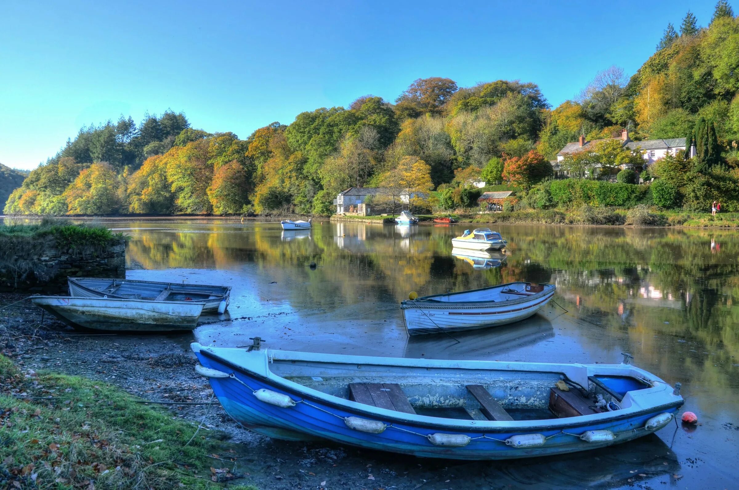 Речные лодки "River Boats". Лодка на озере. Лес река лодка. Лодка в Британии. River coast