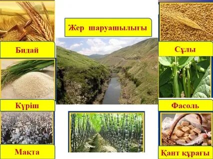 Онлайн виртуалды секс симуляторлары