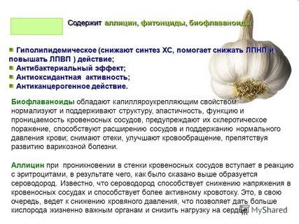 Овощи содержащие повышенное количество фитонцидов
