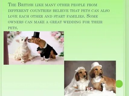 The british like