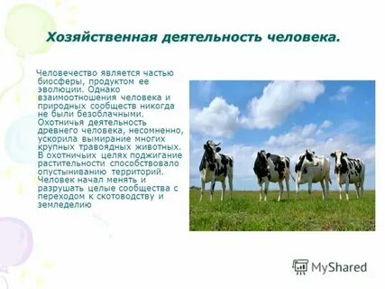 Общая хозяйственная деятельность это