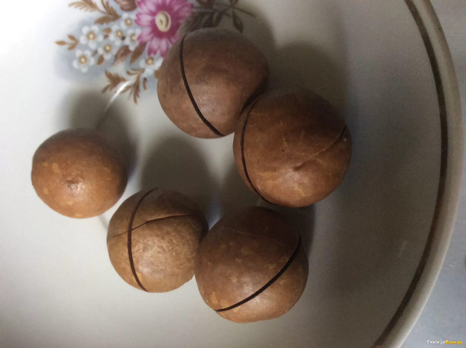 Как можно использовать скорлупу макадамии. Скорлупа макадамского ореха. Как можно использовать скорлупу макадамии. Как можно использовать скорлупу макадамии. Поделки из скорлупы макадамии.