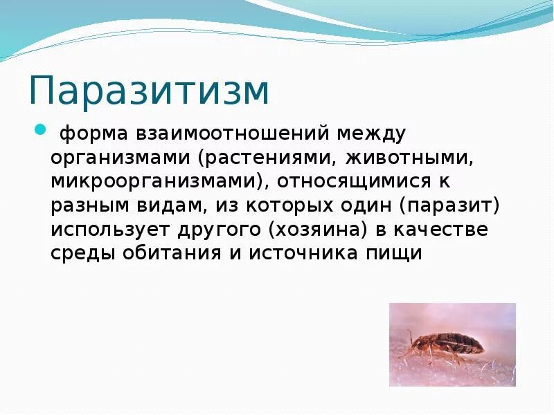 Можно ли отнести паразитизм к биологическому регрессу. Можно ли отнести паразитизм к биологическому регрессу