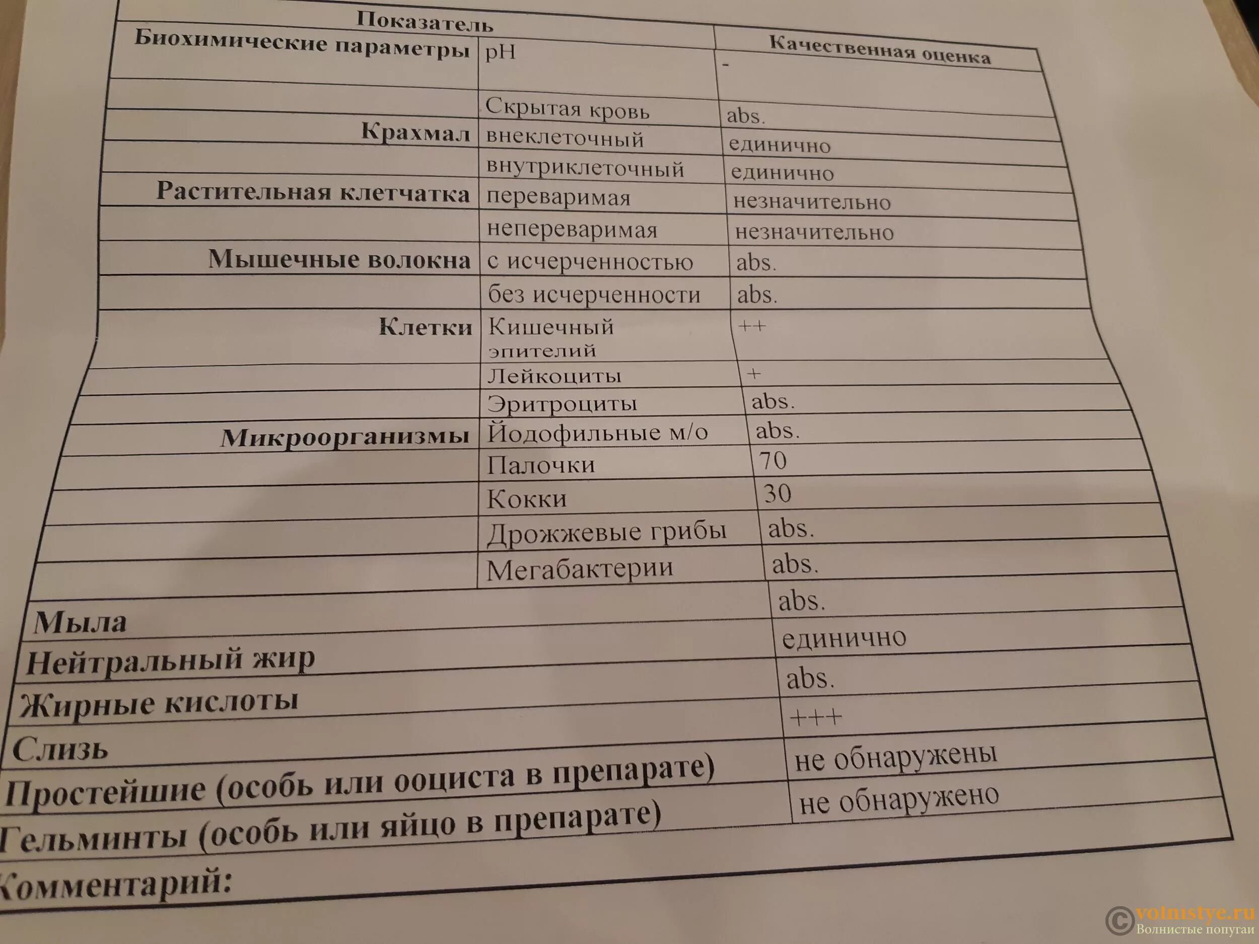 Копрограмма обнаружены грибы. Мышечные волокна с исчерченностью. Мышечные волокна с исчерченностью в Кале у ребенка. Анализ копрограмма кала мышечные волокна. Копрограмма мышечные волокна с исчерченностью.