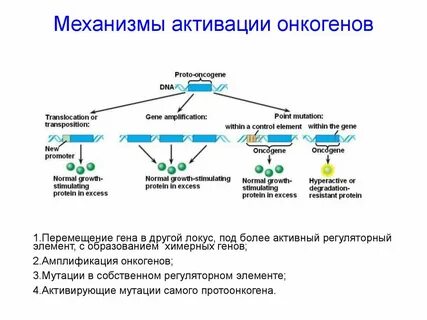 Онкогены