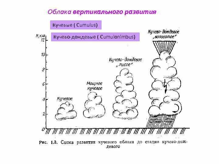 Явление которое образуется в кучево дождевых облаках. Стадии развития кучево-дождевого облака. этапы формирования облаков. облака вертикального развития. кучевые облака вертикального развития.