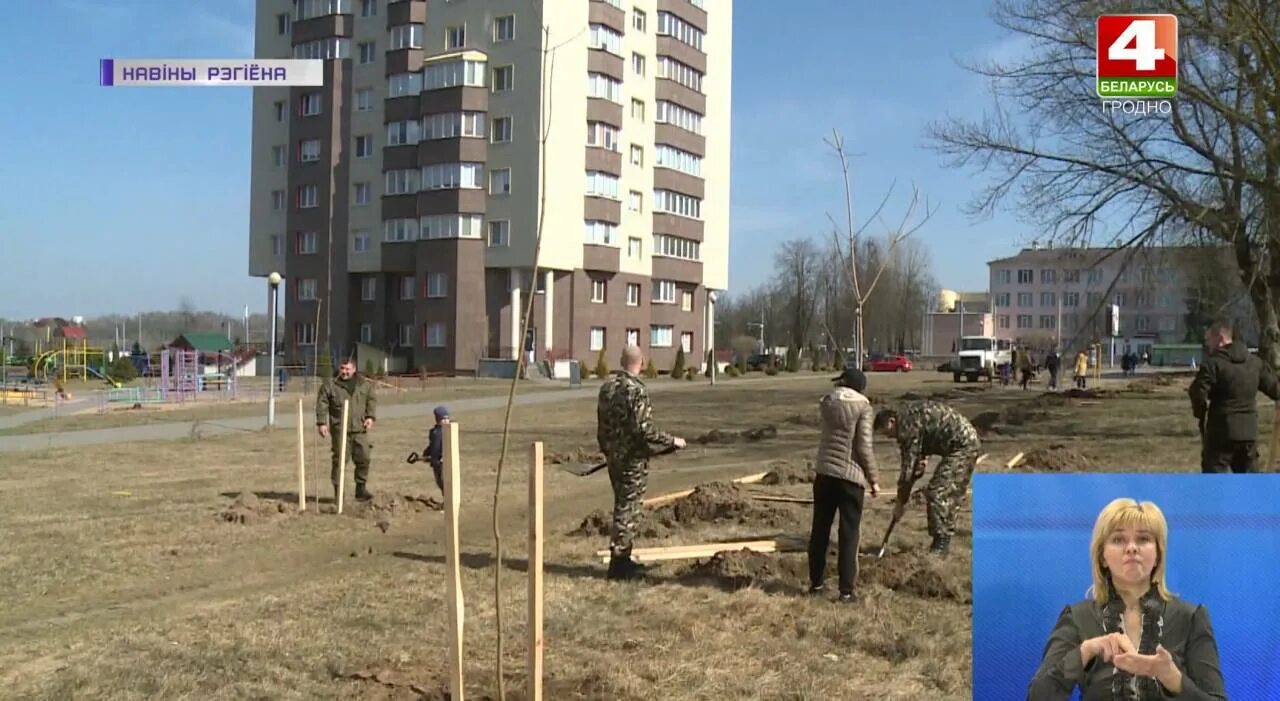 S13 гродно свежие. Посадка деревьев в городе. садовод сажает деревья. посадка деревьев 9 школа. с13 блог гродно.