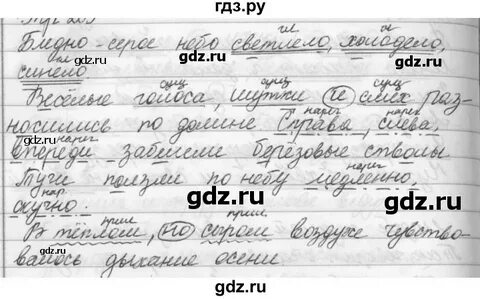 Русский язык пятый класс 23