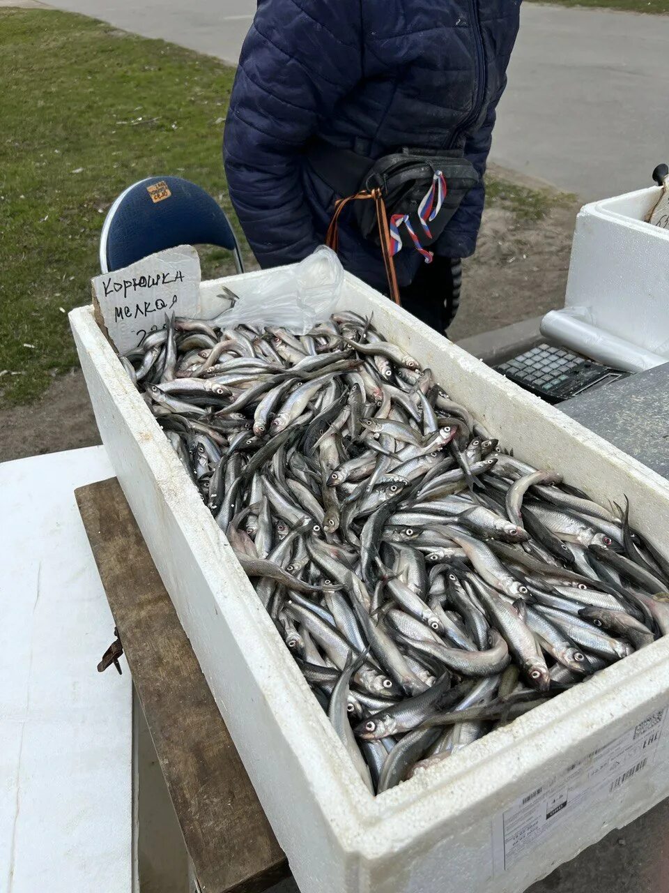 Корюшка санкт петербург где купить недорого. Фестиваль корюшки в Санкт-Петербурге 2022. Корюшка. Корюшка Питер. Корюшка в ящиках.