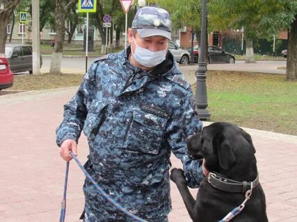 Приставы ейск телефон