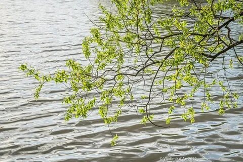Вода май