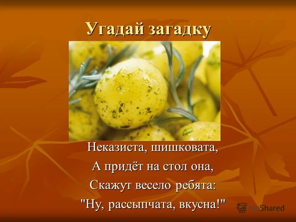 Отгадывать загадки. Давайте все ребятки отгадывать загадки. Ребята отгадайте загадку. Ребята отгадайте загадку. Ребята отгадайте загадку.