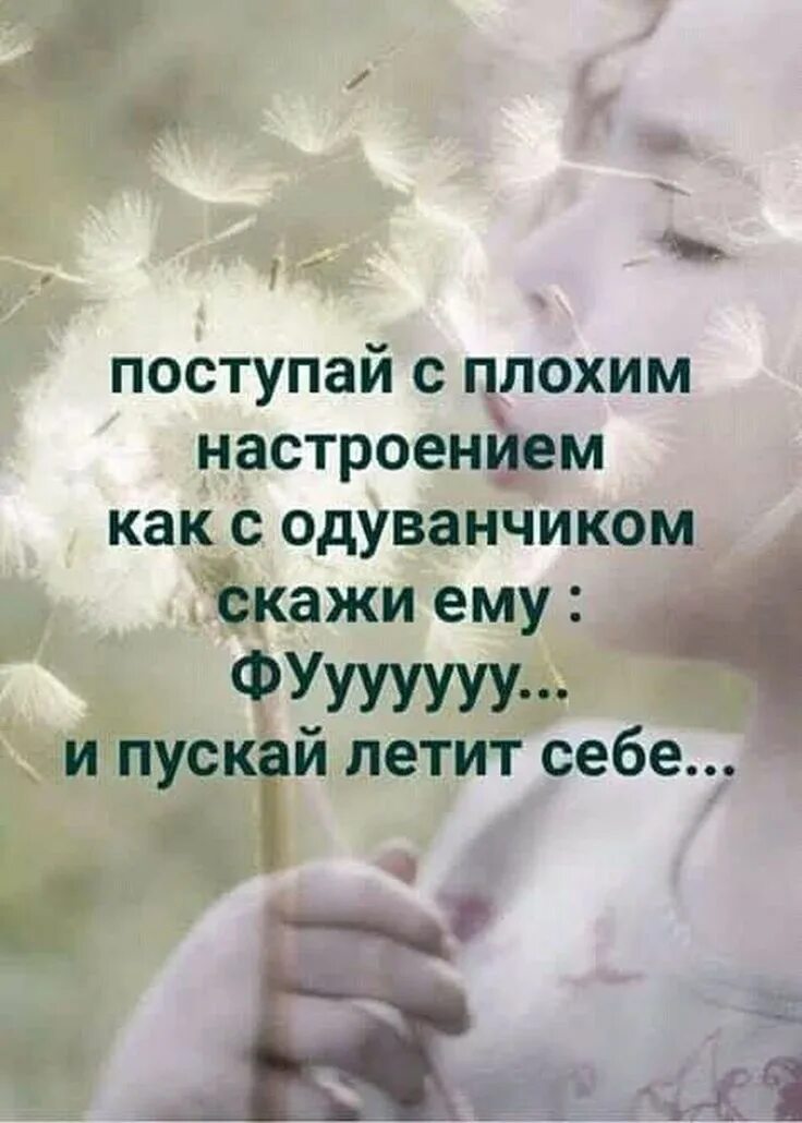 Мудрые позитивные мысли картинки Что мешает человек наслаждатья мыслью Глубокая мысль Джека Лондона Литература