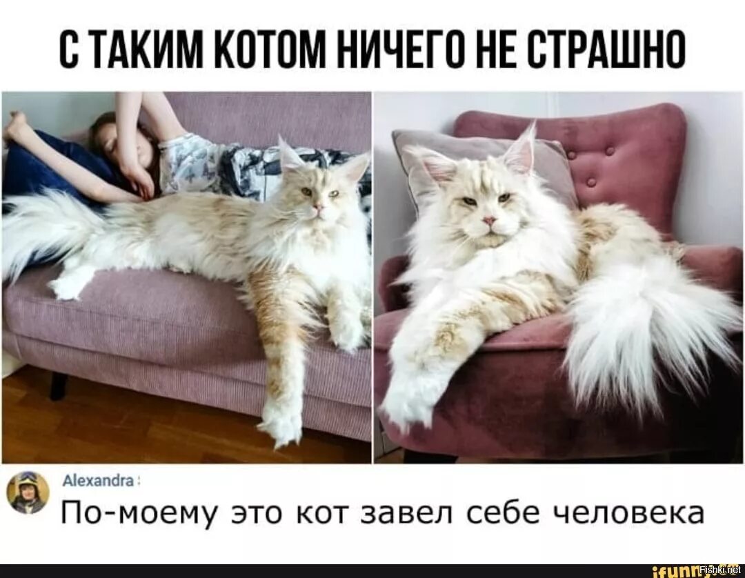 Услуга завести