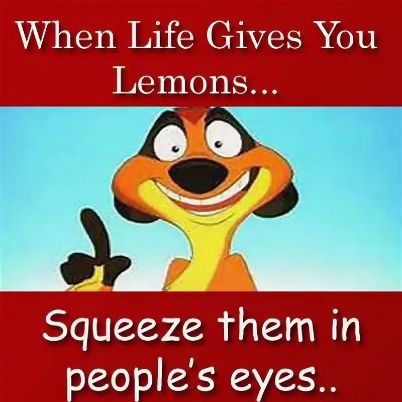 When we fun. When Life gives you Lemons Squeeze them. You can Squeeze them.... I feel like a squeezed Lemon. Silly Goofy mood Cat.