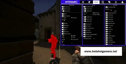 Interium cs go