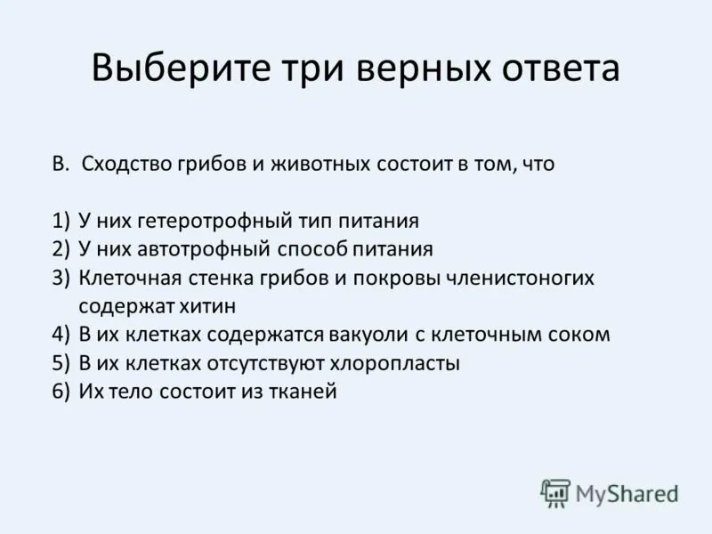 Сходство грибов и животных состоит