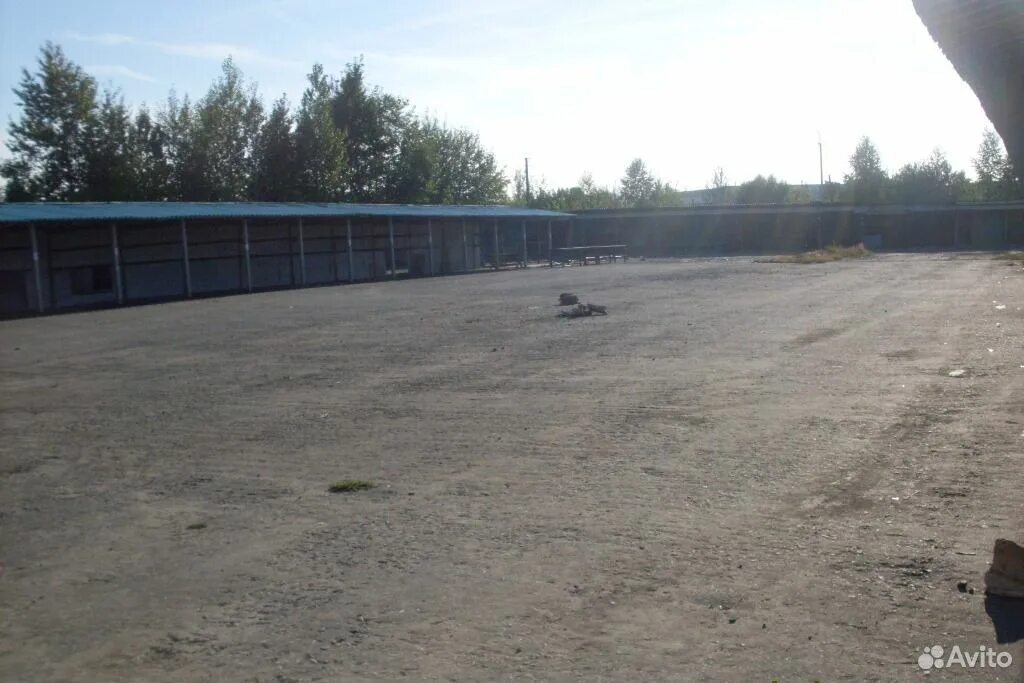 Завод в городе касли кссмпп. Касли снять. Касли снять. Каслинский музей художественного литья. Касли дом.